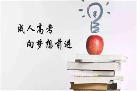 歷年成考經驗分享，別錯過哦~