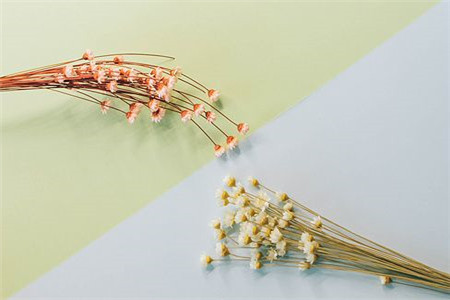 貴州成人高考本科有那幾種方式？