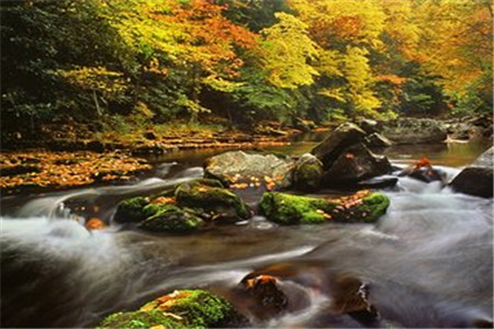 遵義醫(yī)科大學(xué)成人高考怎么報(bào)名？
