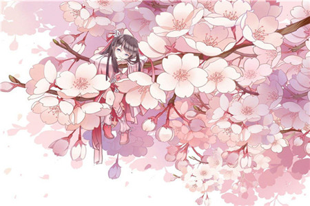 貴州成人高考學(xué)歷證書編號是什么意思？