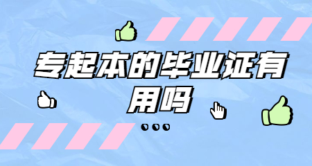 專起本的畢業(yè)證有用嗎