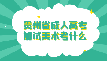 貴州省成人高考加試美術